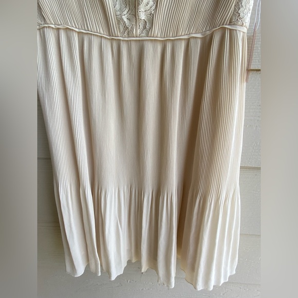 Forever 21 Beautiful Sleeveless V-Neck Lace Pleated Dress - Picture 4 of 6